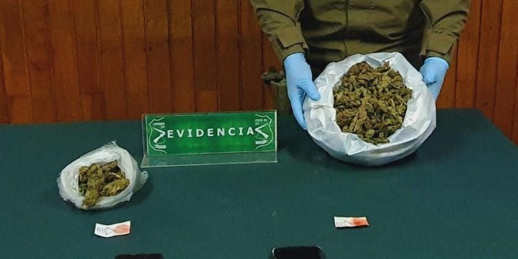 Carabineros del O.S.7 junto a la Fiscalía detienen en La Junta a tres infractores a la ley de drogas y decomisan marihuana avaluada en cerca de 17 millones de pesos