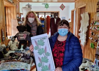 Sercotec promueve programa de fortalecimiento de barrios comerciales en Puyuhuapi
