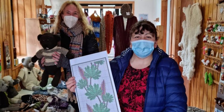 Sercotec promueve programa de fortalecimiento de barrios comerciales en Puyuhuapi