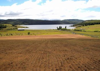 Corfo abre convocatoria para la producción local y sostenible de insumos nutricionales en el sector acuícola