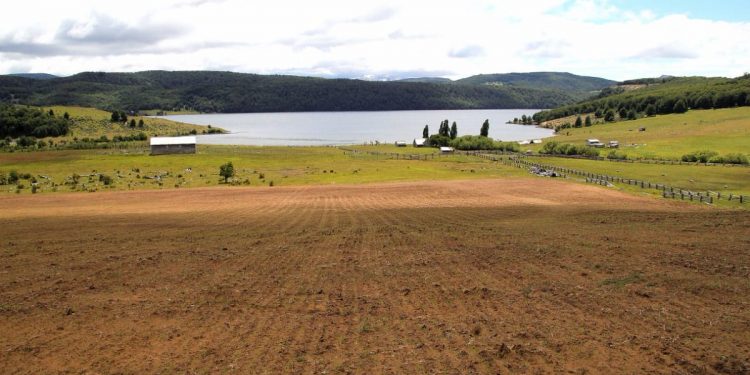 Corfo abre convocatoria para la producción local y sostenible de insumos nutricionales en el sector acuícola