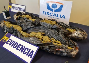 En Cerro Castillo y Puerto Aysén: PDI y Fiscalía detuvieron en flagrancia a dos personas tras controles antidrogas con ejemplares caninos