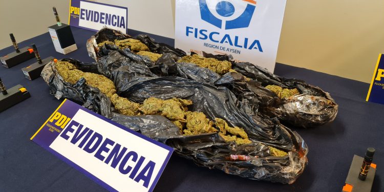 En Cerro Castillo y Puerto Aysén: PDI y Fiscalía detuvieron en flagrancia a dos personas tras controles antidrogas con ejemplares caninos