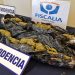 En Cerro Castillo y Puerto Aysén: PDI y Fiscalía detuvieron en flagrancia a dos personas tras controles antidrogas con ejemplares caninos