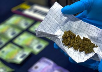 Balance microtráfico: PDI y Fiscalía han incautado cannabis, clorhidrato de cocaína, hongos, LSD y 2CE en 23 procedimientos MT0 durante 2021