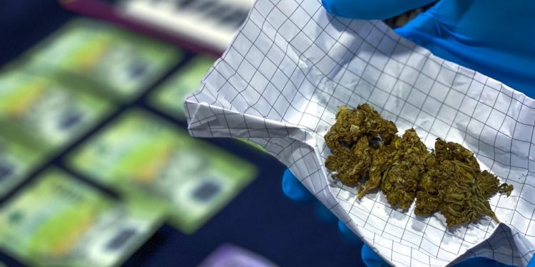Balance microtráfico: PDI y Fiscalía han incautado cannabis, clorhidrato de cocaína, hongos, LSD y 2CE en 23 procedimientos MT0 durante 2021