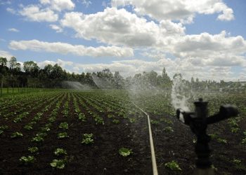 Expo Chile Agrícola 2021: “Asegurar el riego es un desafío asumido y una prioridad para la agricultura ante el cambio climático”