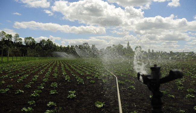 Expo Chile Agrícola 2021: “Asegurar el riego es un desafío asumido y una prioridad para la agricultura ante el cambio climático”