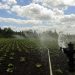 Expo Chile Agrícola 2021: “Asegurar el riego es un desafío asumido y una prioridad para la agricultura ante el cambio climático”