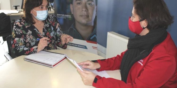 Sence realizará Semana del Empleo con talleres y charlas, además de Feria Laboral con más de 70 mil cupos laborales a nivel nacional