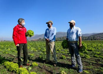 Expo Chile Agrícola: INDAP cierra su participación revisando los ejes estratégicos del PRODESAL y la Política Nacional de Desarrollo Rural