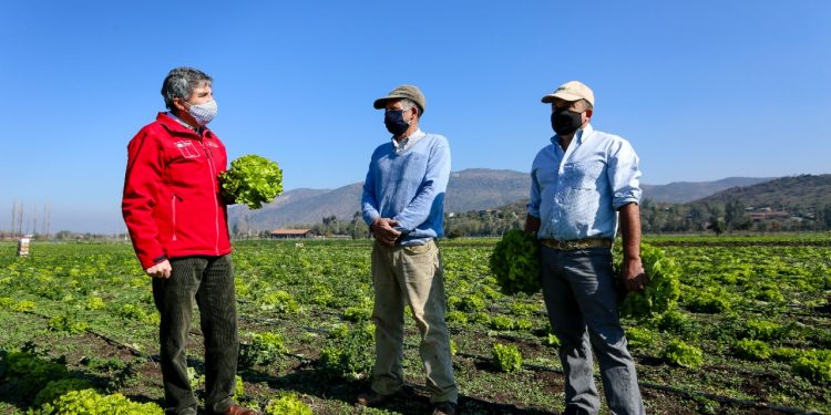 Expo Chile Agrícola: INDAP cierra su participación revisando los ejes estratégicos del PRODESAL y la Política Nacional de Desarrollo Rural