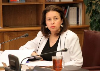 Senadora Órdenes y falla de naves: «La ruta del lago General Carrera requiere una nueva barcaza»