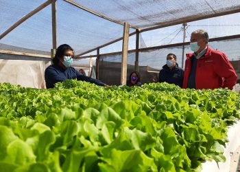 Microbiología, desalinización y economía circular: Antofagasta como un referente frente al cambio climático