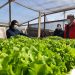 Microbiología, desalinización y economía circular: Antofagasta como un referente frente al cambio climático