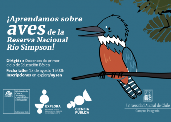 Proyecto Explora Aysén abre inscripciones para taller sobre aves de la Reserva Nacional Río Simpson dirigido a docentes de educación básica