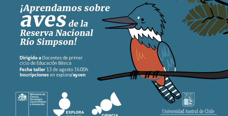 Proyecto Explora Aysén abre inscripciones para taller sobre aves de la Reserva Nacional Río Simpson dirigido a docentes de educación básica