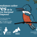 Proyecto Explora Aysén abre inscripciones para taller sobre aves de la Reserva Nacional Río Simpson dirigido a docentes de educación básica