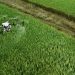 Expositores entregarán las claves para conquistar nuevos mercados y la incorporación del Agro 5.0 en Chile