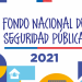 Dos comunas de la región de Aysén se adjudicaron Fondo Nacional de Seguridad Pública 2021 