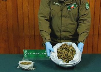Carabineros del O.S.7 junto a la Fiscalía local de Puerto Aysén detienen en la Junta a dos sujetos y decomisan marihuana avaluada en más de 8 millones de pesos