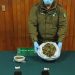 Carabineros del O.S.7 junto a la Fiscalía local de Puerto Aysén detienen en la Junta a dos sujetos y decomisan marihuana avaluada en más de 8 millones de pesos