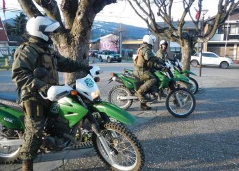 Carabineros de Coyhaique detuvo a cuatro personas por robo a oficina de turismo y recuperó especies sustraídas