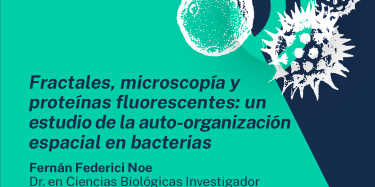 Ciencia Abierta de Explora Aysén invita conocer sobre fractales en bacterias a través de la microscopía y proteínas fluorescentes