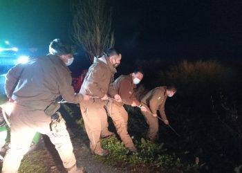 Carabineros de Puerto Aysén rescató a mujer que cayó en la rivera del río Aysén