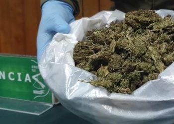 Carabineros del O.S.7 junto a la Fiscalía local de Puerto Aysén detuvo a sujeto y decomisó droga avaluada en más de 31 millones de pesos.