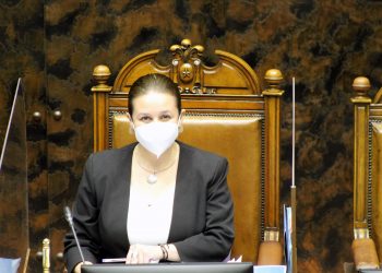 Senadora Órdenes por Ley Mila: «Estamos saldando una deuda enorme con las madres y padres de este país»
