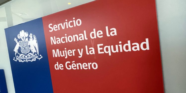 “No es ayuda, es responsabilidad compartida”: SernamEG hace un llamado a dividir las tareas domésticas
