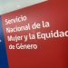 “No es ayuda, es responsabilidad compartida”: SernamEG hace un llamado a dividir las tareas domésticas