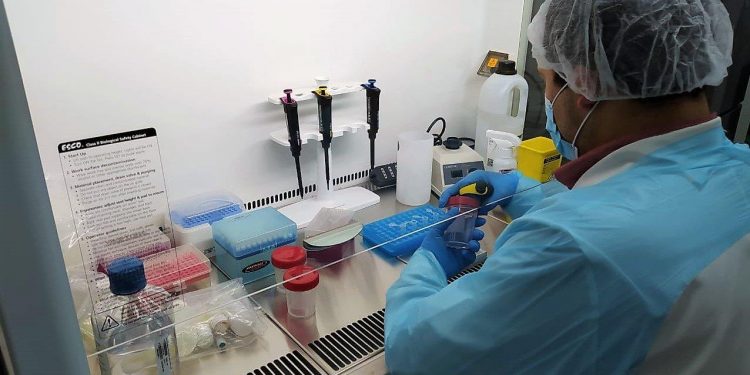 Puerto Cisnes registra incremento de casos COVID-19 asociados a probable variante Delta