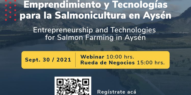 Exitoso resultado tuvo la primera rueda de negocios entre productoras de salmón y proveedores de servicios locales de Aysén