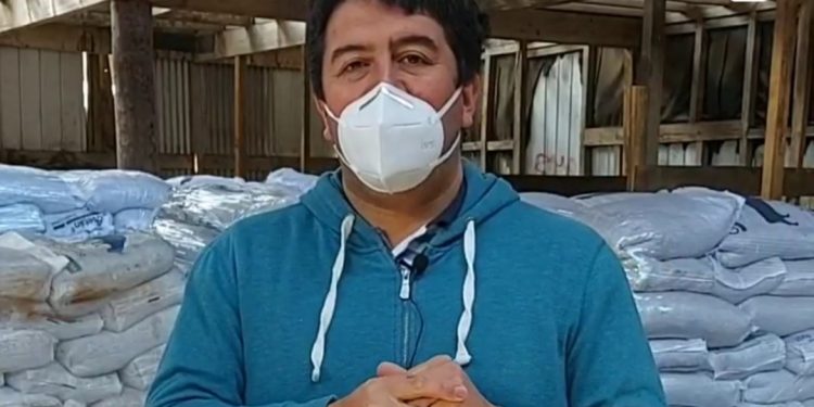 Municipalidad de Cisnes entregará 80.500 kilos de alimento concentrado para animales beneficiando a 322 productores de toda la comuna