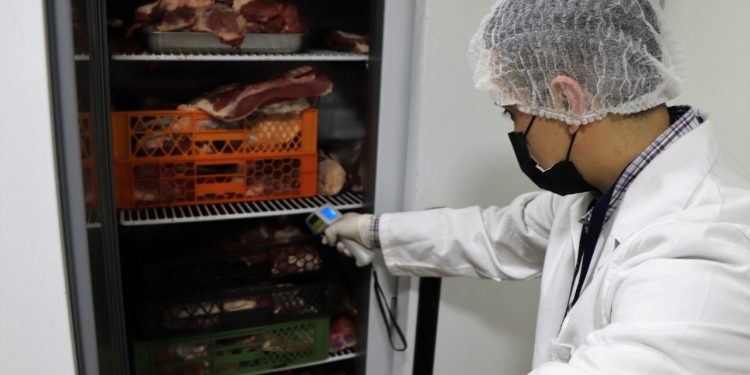 Autoridad Sanitaria Reforzará Test de PCR y Fiscalización de Cuarentenas en Fiestas Patrias