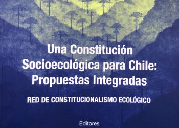 Libro reúne a 32 autores que desarrollan propuesta con los contenidos ecológicos esenciales para la nueva Constitución
