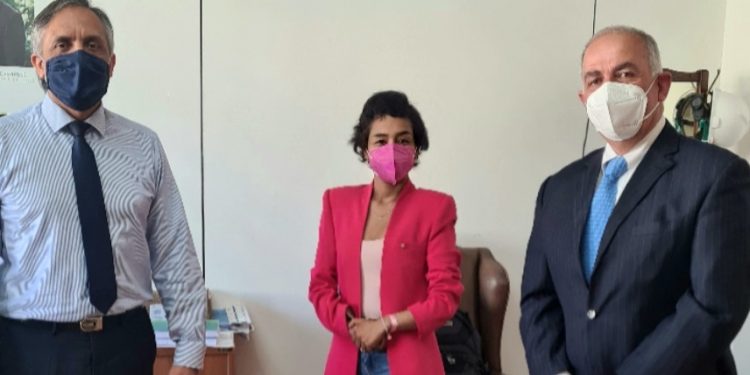 Diputada Leuquén se reúne con Director Nacional de Obras Portuarias por barcaza en Chile Chico