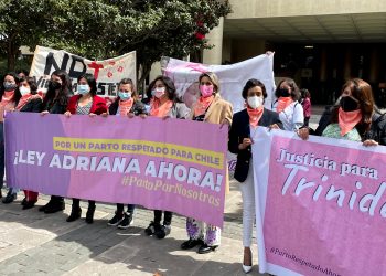 Diputada Leuquén apoyó proyecto que previene y sanciona la violencia gineco-obstétrica