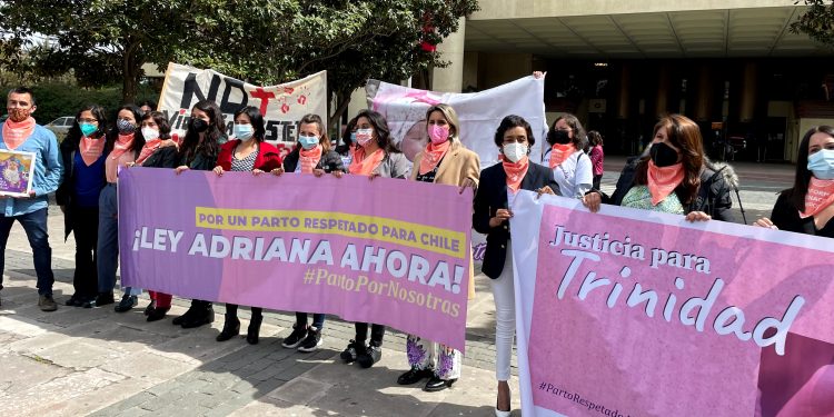 Diputada Leuquén apoyó proyecto que previene y sanciona la violencia gineco-obstétrica