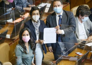 Diputada Leuquén presenta proyecto para incorporar la Psoriasis dentro de las patologías AUGE