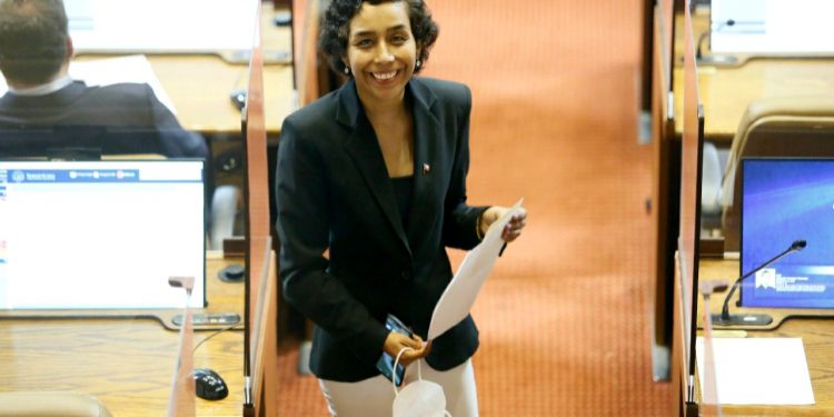 Diputada Leuquén ingresa al Congreso propuesta que modifica el DFL15