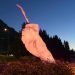 Coyhaique se ilumina de rosa para conmemorar el Día Mundial de la Lucha contra el Cáncer de Mama