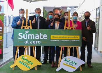 Ministerios del Trabajo y Agricultura llaman a postular a más de 5 mil vacantes de trabajo en el sector agrícola 