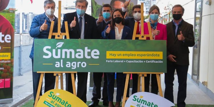Ministerios del Trabajo y Agricultura llaman a postular a más de 5 mil vacantes de trabajo en el sector agrícola
