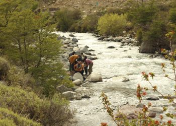 Estudiantes secundarios de Aysén exploran el microbosque como alternativa turística