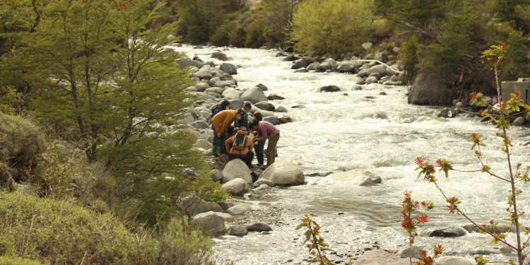 Estudiantes secundarios de Aysén exploran el microbosque como alternativa turística