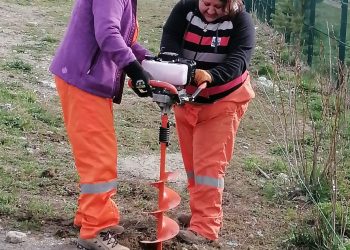 CONAF ejecuta proyecto de arborización comunitaria en Cochrane