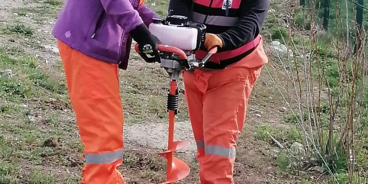 CONAF ejecuta proyecto de arborización comunitaria en Cochrane